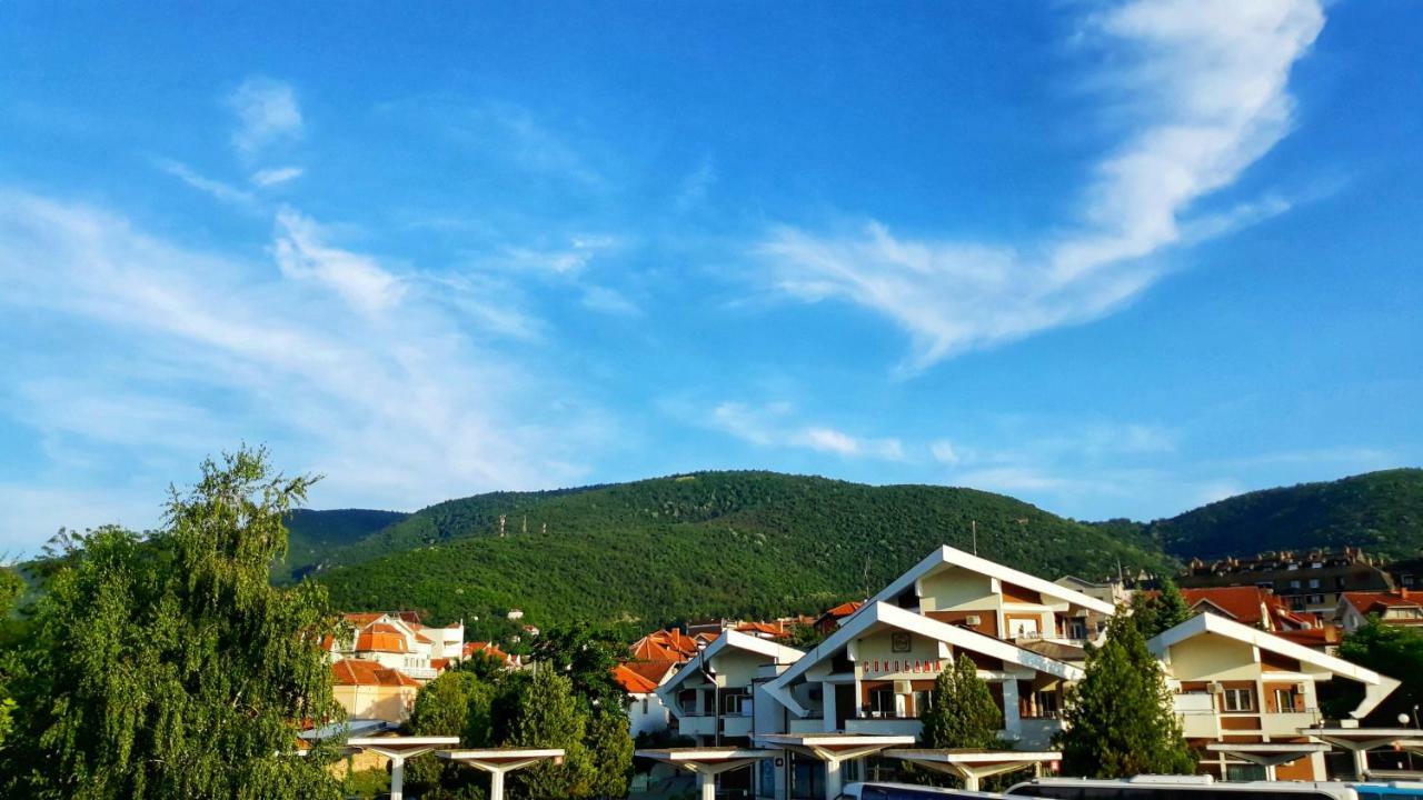 Vila Simic Soko Banja Luaran gambar
